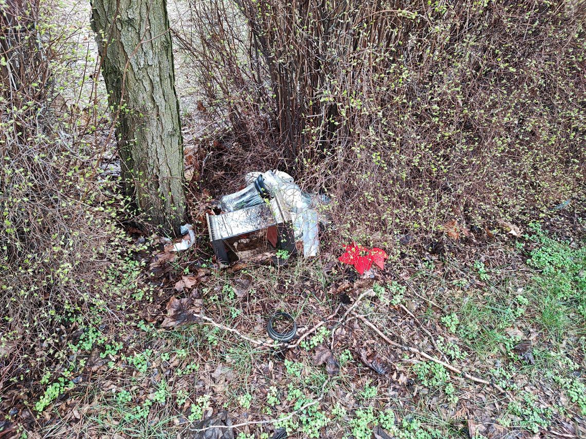 Liście oraz śmieci na Cmentarzu w Pińczacie. BAZA odpowiada Liście oraz śmieci na Cmentarzu w Pińczacie. BAZA odpowiada