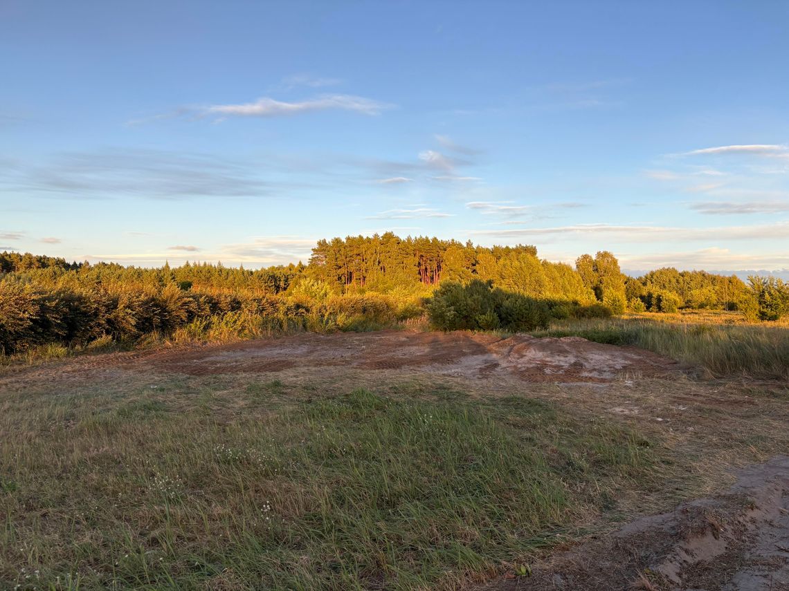 Makabryczne znalezisko w Pińczacie [zdjęcia pod artykułem nie dla wrażliwych]