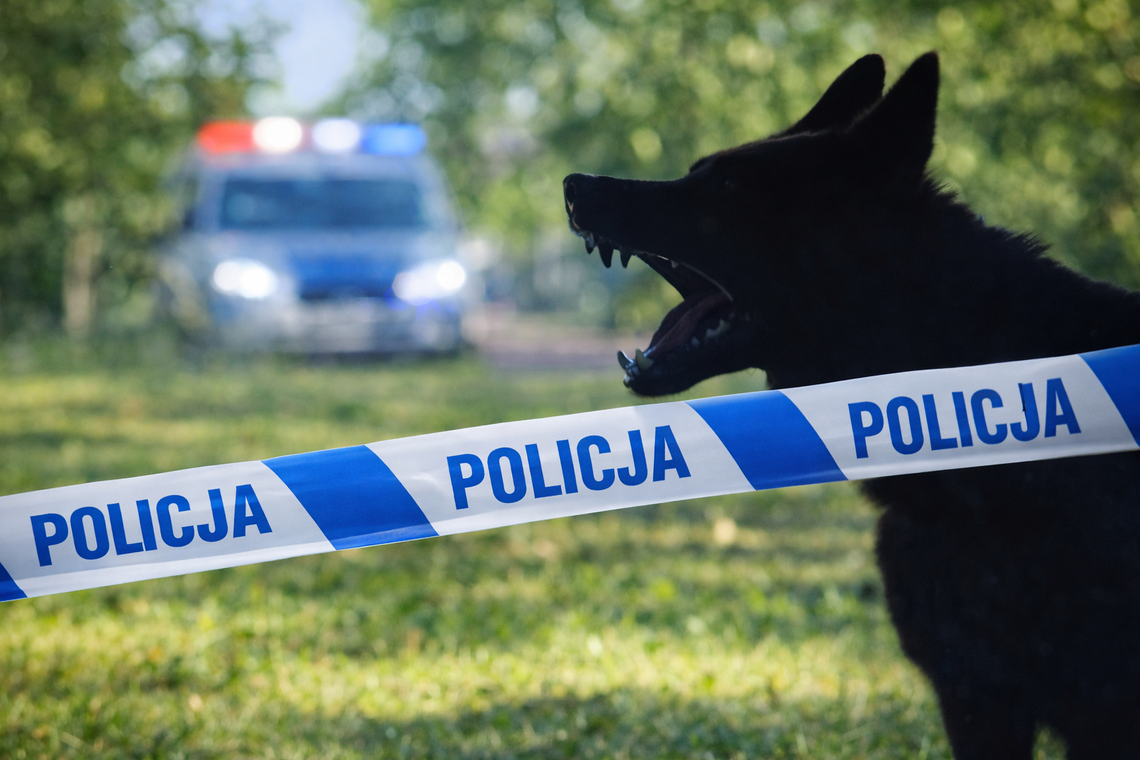 Matka i córka zaatakowane przez psa. Lipnowska Komenda szuka świadków Matka i córka zaatakowane przez psa. Lipnowska Komenda szuka świadków