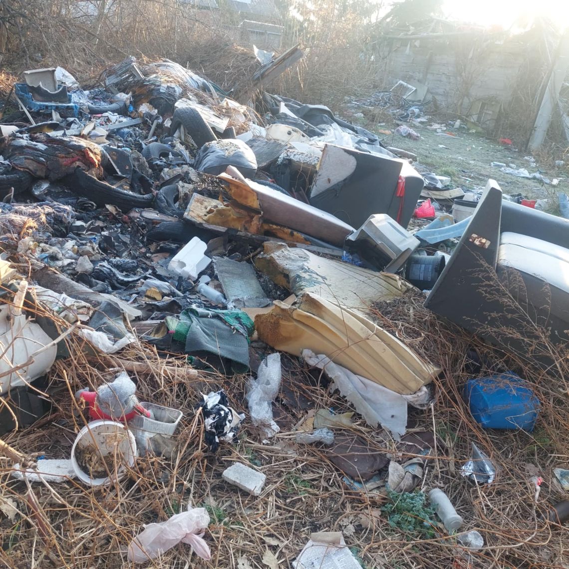 Mieszkańcy skarżą się na dzikie wysypisko i plagę szczurów przy ul. Miłej