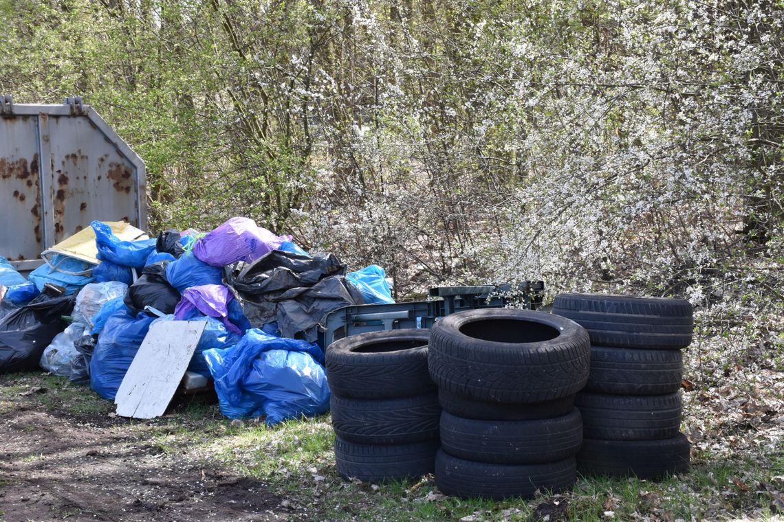 Młodzież z Włocławka bierze sprawy w swoje ręce – rusza akcja sprzątania