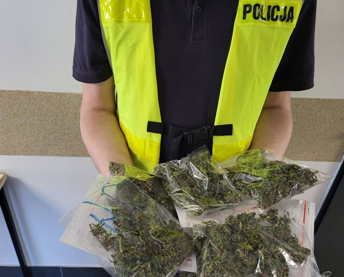 Mundurowi zabezpieczyli 900 gramów marihuany