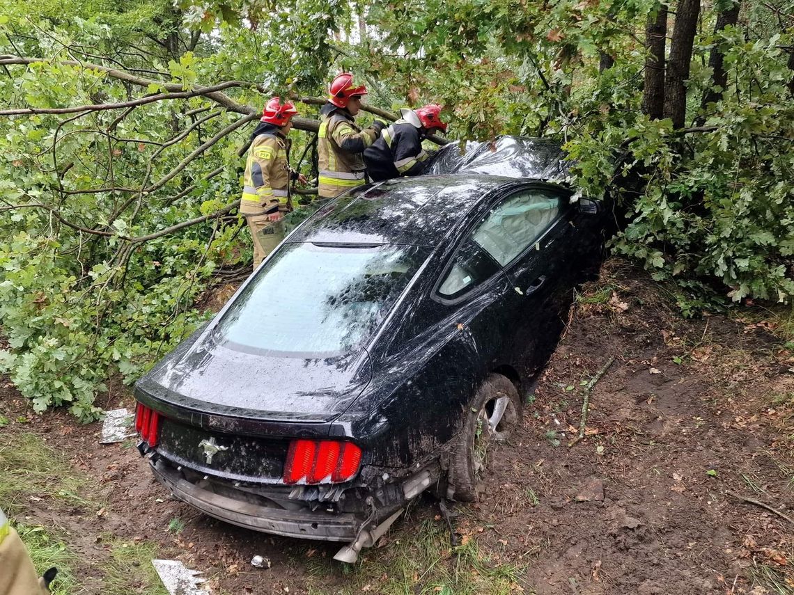 Mustang rozbity na drzewie. Kobieta kierująca pojazdem wypadła z drogi