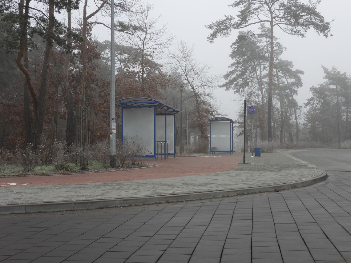 Na przystanku znaleziono ciało kolejnego mężczyzny. Tym razem na Michelinie