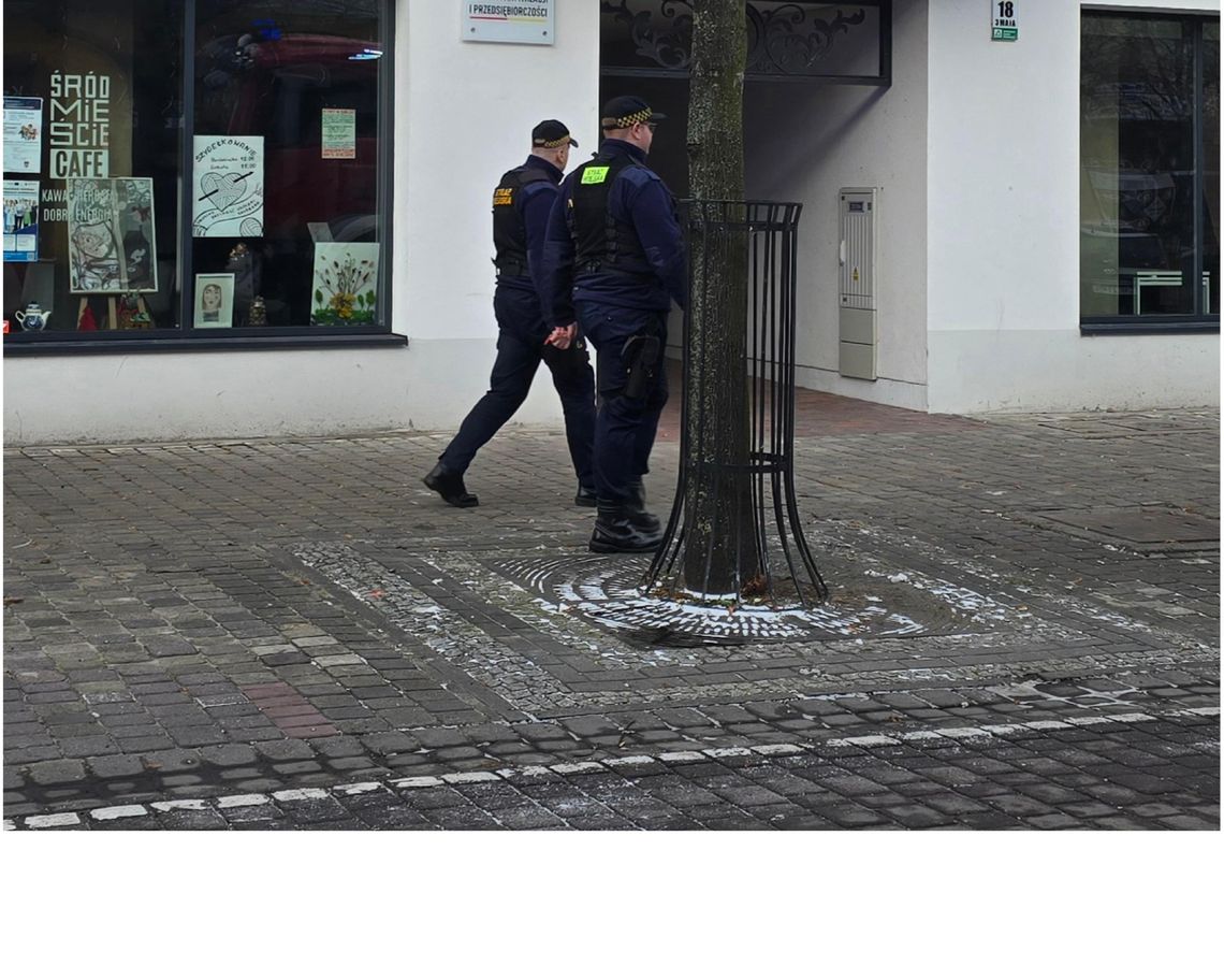 Nabór do Straży Miejskiej we Włocławku
