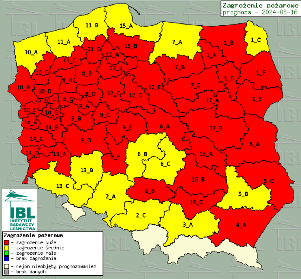 Najwyższy stopień zagrożenia pożarowego w lasach! Spłonęło już...