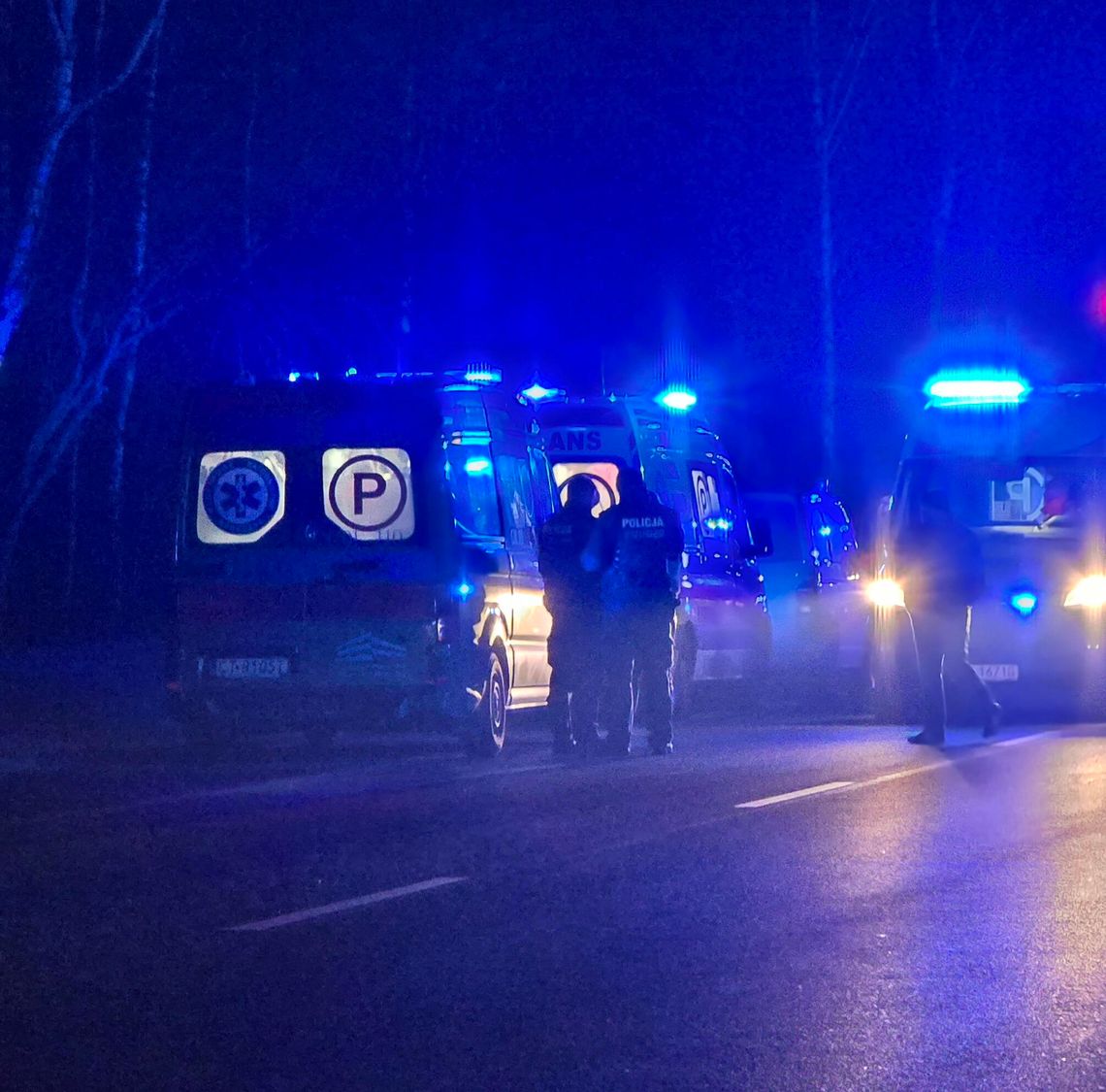 Akcja służb w sobotnią noc. Kogo szukano w lesie z latarkami?