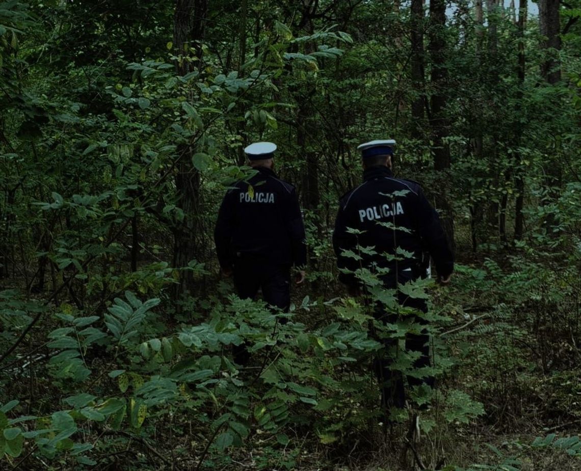 Obława policji w podwłocławskim lesie. Szukano porzuconej broni z której...