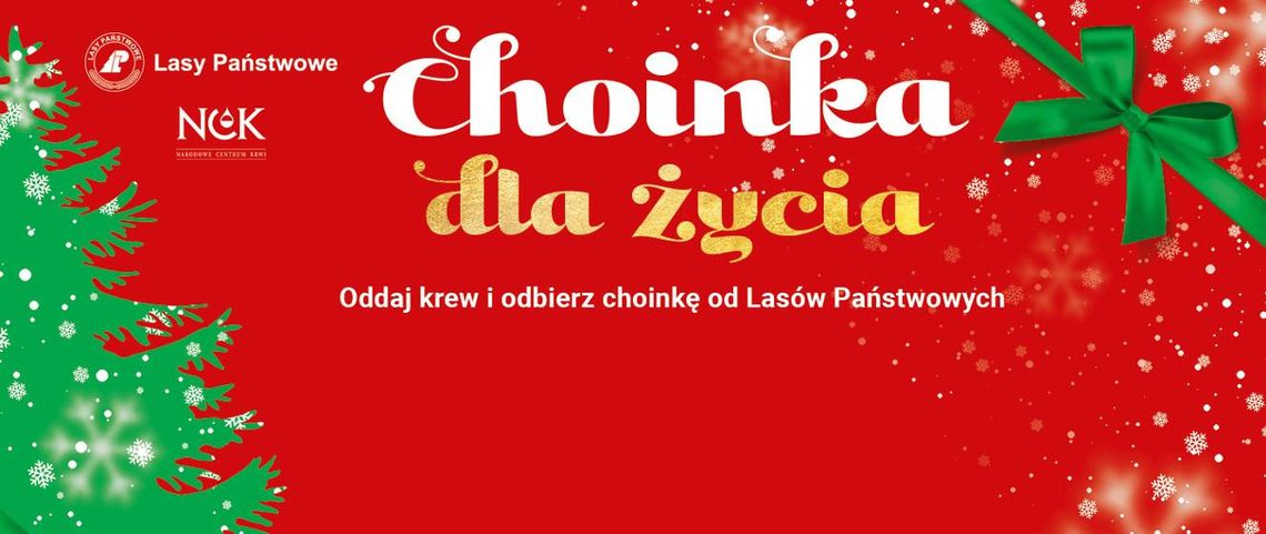 Oddaj krew i odbierz choinkę – szlachetna akcja Nadleśnictwa Włocławek