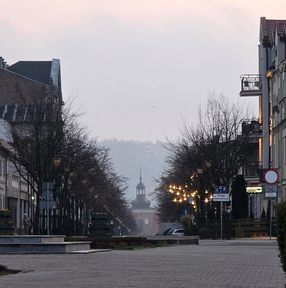 Ogród deszczowy w centrum Włocławka. Jest 8,8 miliona na przebudowę ulicy, która kiedyś tętniła życiem