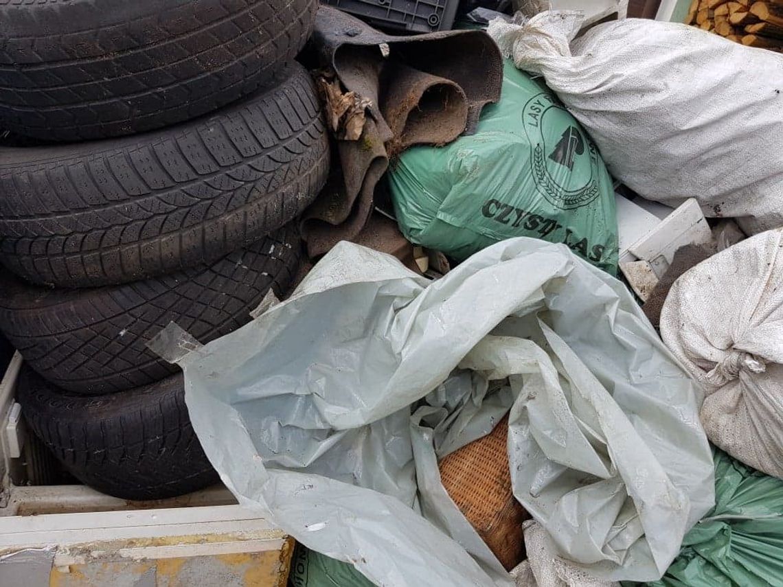 Około 100 osób sprzątnęło blisko 50 ha lasu we Włocławku