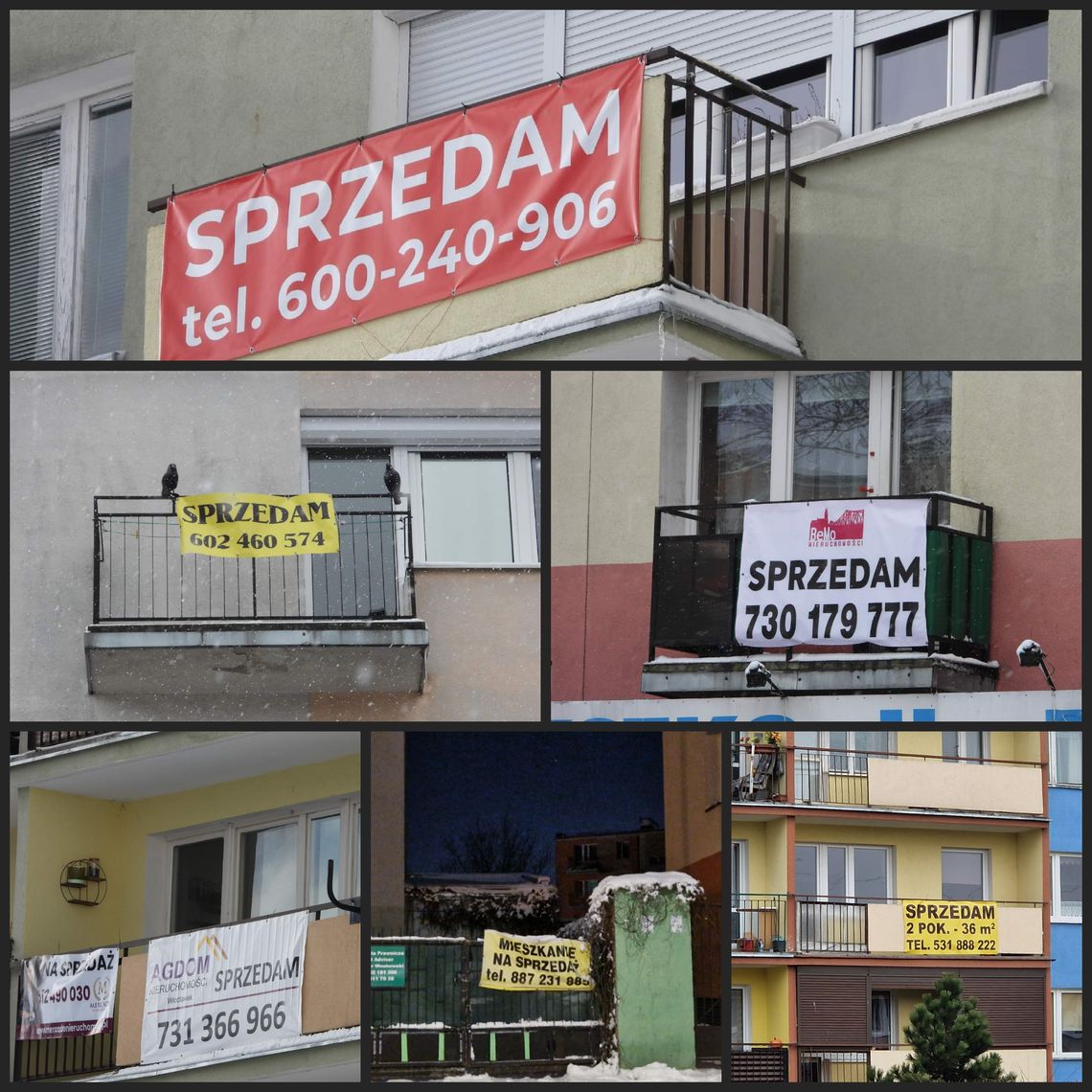 Pełno ogłoszeń o sprzedaży mieszkań na blokach i domach. Pytamy biura nieruchomości co jest przyczyną zjawiska