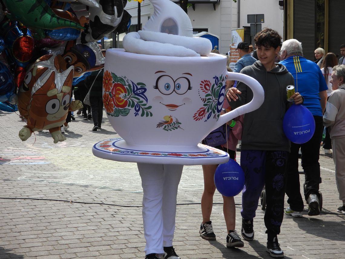 Piknik z okazji Święta Konstytucji na Placu Wolności i ul. 3 Maja