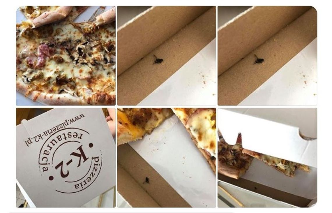  Pizza z muchą, a zamiast przeprosin... Pani Monika oburzona sytuacją zgłosiła sprawę do Sanepidu!