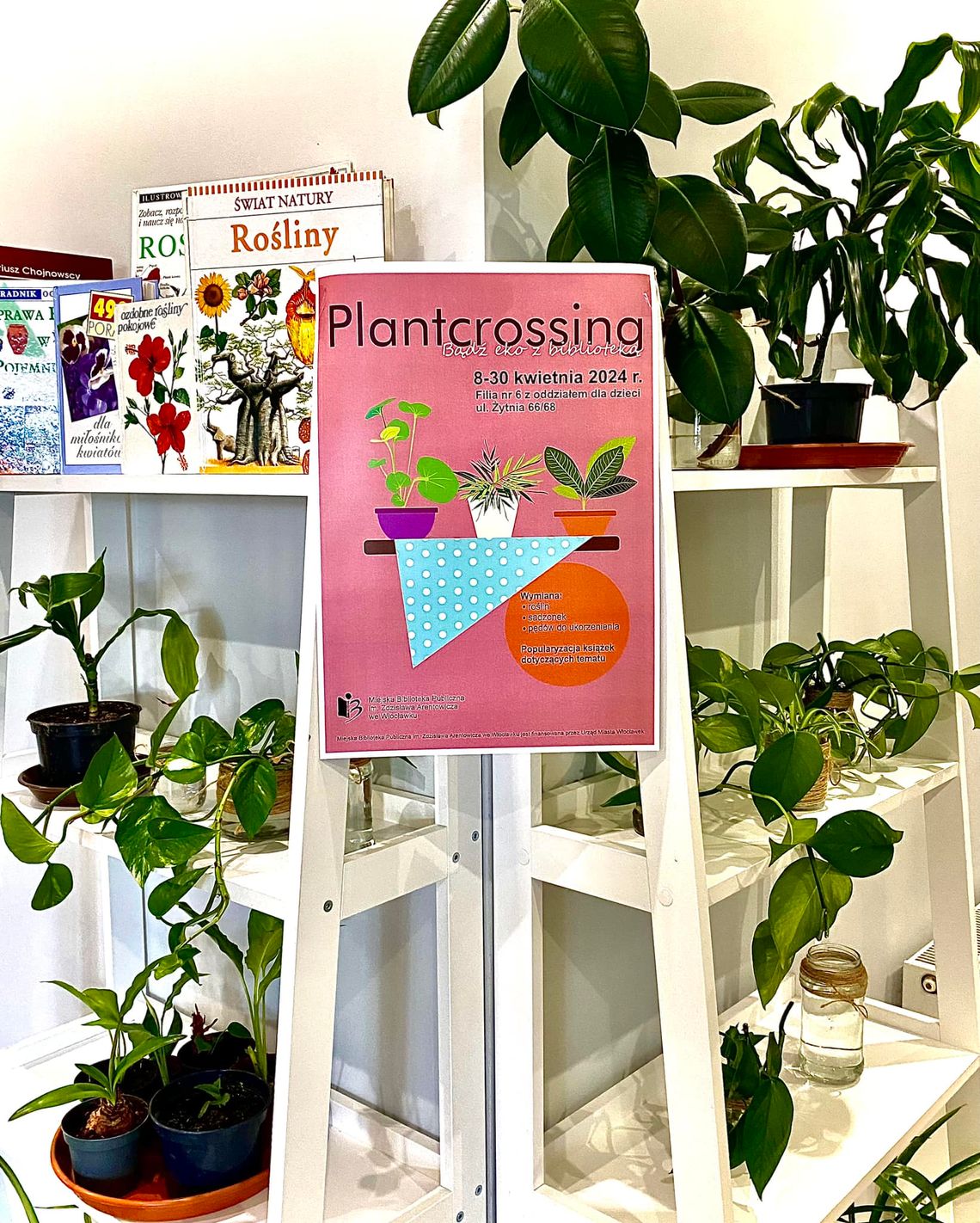 "Plantcrossing": wymiana roślin w Bibliotece Miejskiej na Żytniej we Włocławku