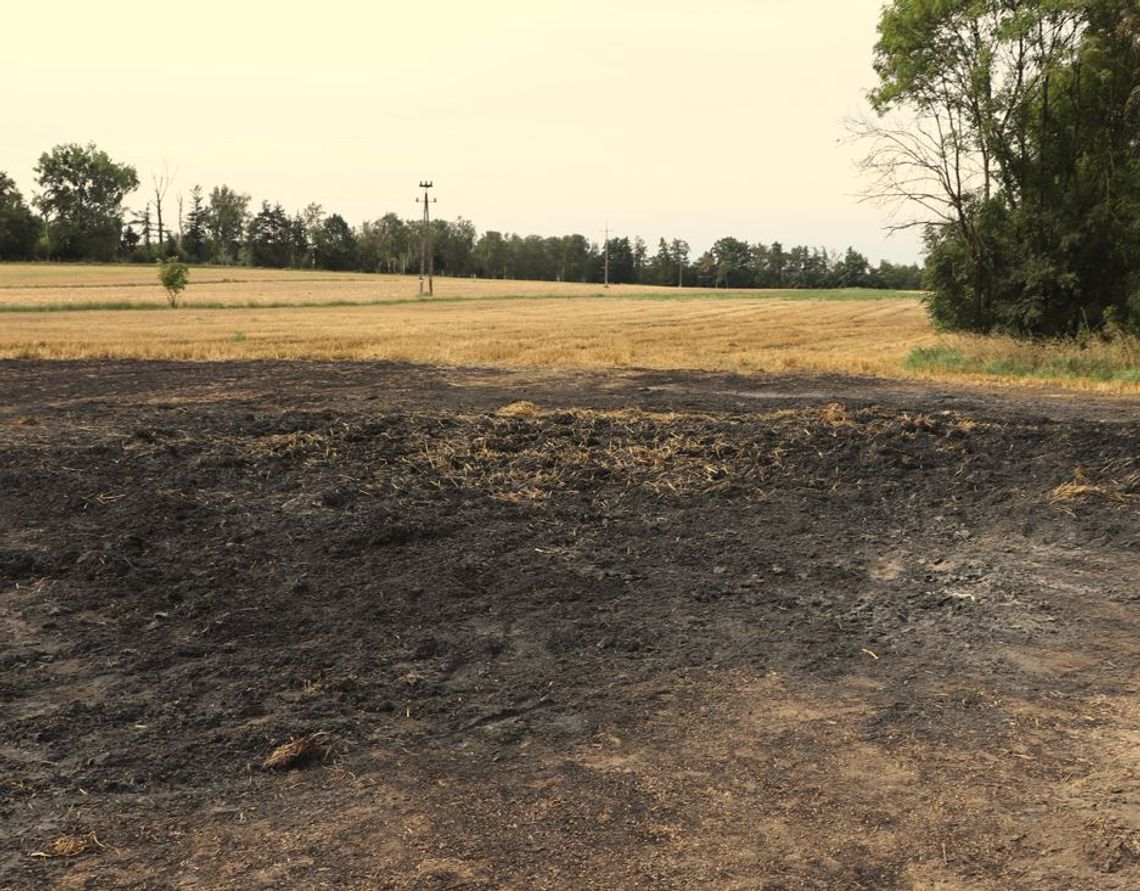 Podpalił baloty słomy warte 53 000 zł. 16-latek został zatrzymany