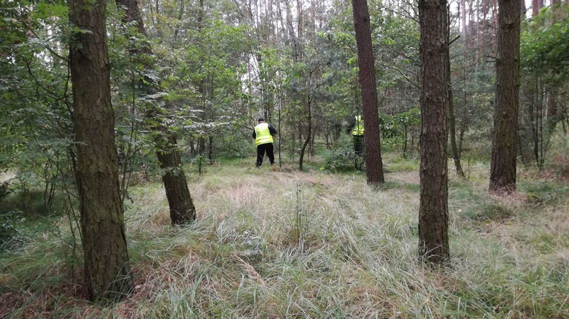 Policja bada sprawę zabójstwa. Ciało młodego mężczyzny znaleziono dziś w lesie przy DK-62 
