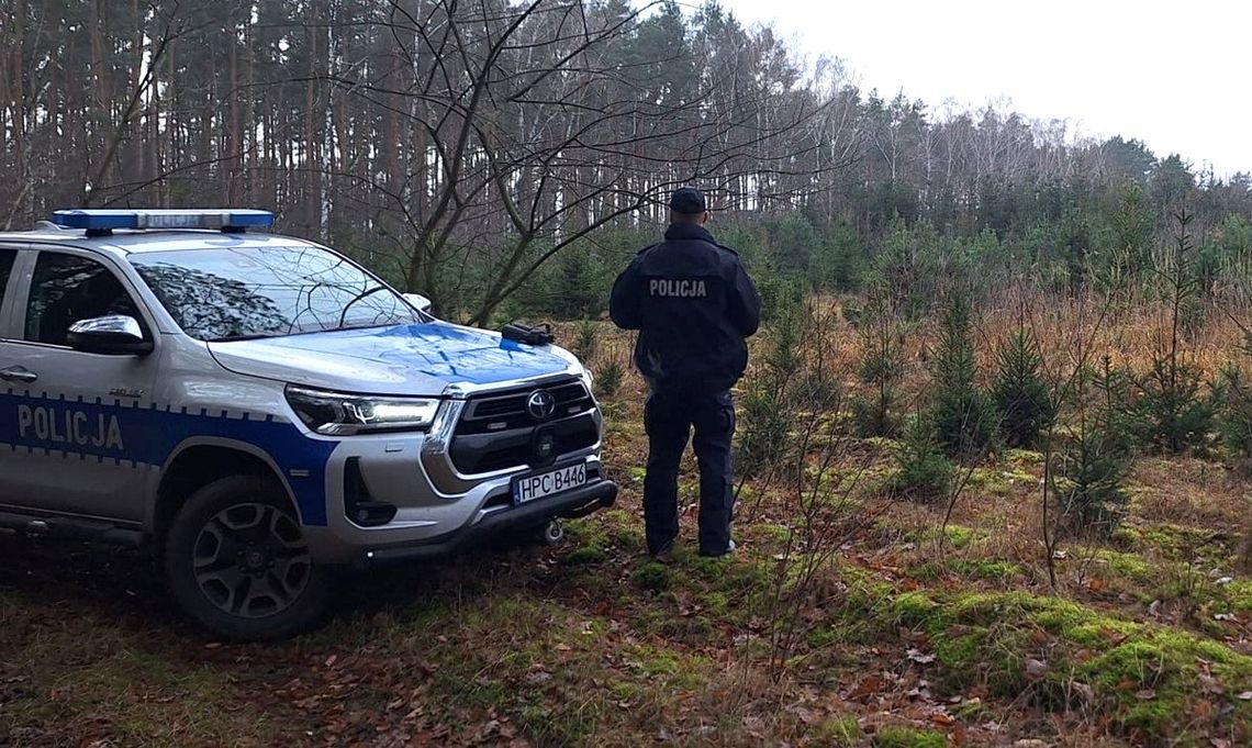 Policjanci i leśnicy patrolują tereny leśne pod kątem nielegalnych wycinek Policjanci i leśnicy patrolują tereny leśne pod kątem nielegalnych wycinek