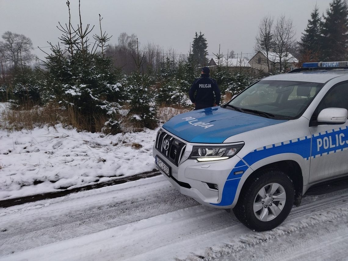 Policjanci i Straż Leśna sprawdzają przewoźników i plantacje choinek