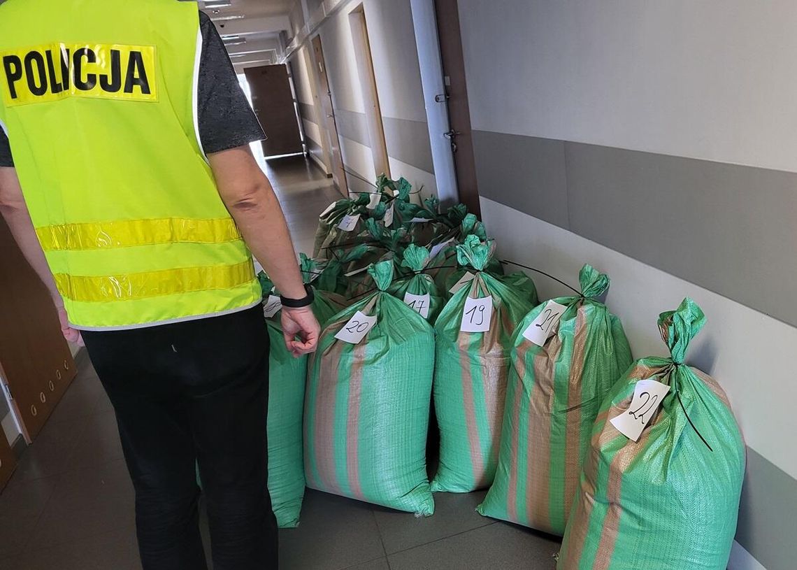 Policjanci z Włocławka zabezpieczyli 330 kg nielegalnej krajanki tytoniowej