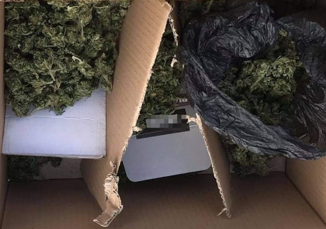 Policjanci z Włocławka zabezpieczyli prawie 1,4 kg marihuany