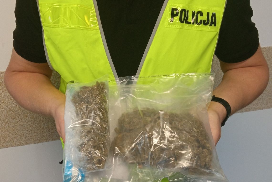Policjanci zatrzymali 41-latka, który posiadał ponad 300 gramów marihuany Policjanci zatrzymali 41-latka, który posiadał ponad 300 gramów marihuany