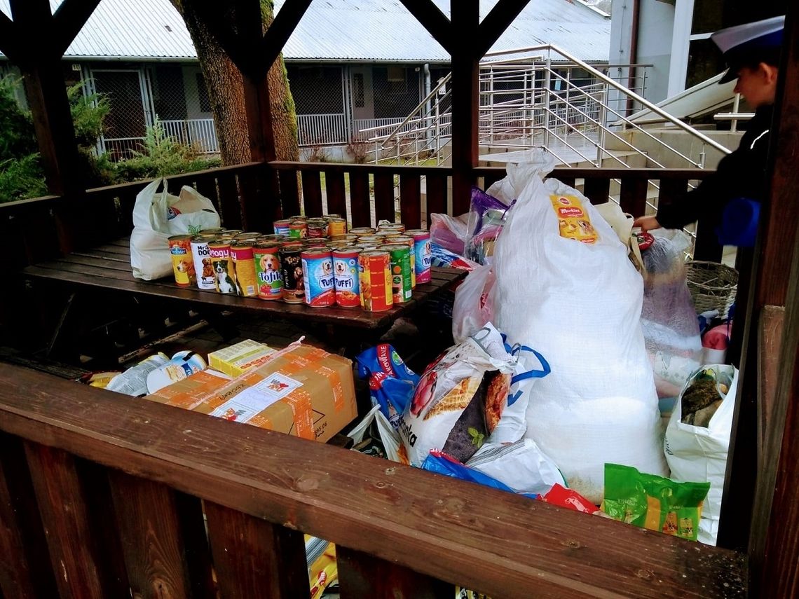 Policjantki zorganizowały zbiórkę darów dla zwierząt ze schroniska