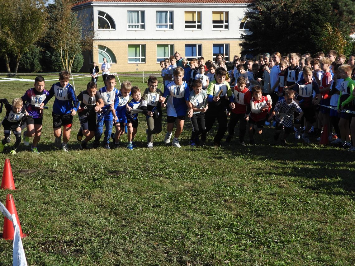 Ponad 200 uczniów rywalizuje w Mistrzostwach Włocławka w Sztafetowych Biegach Przełajowych