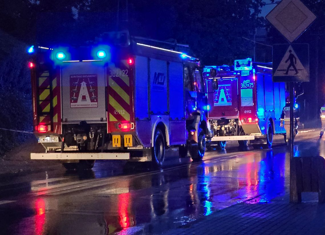 Powalone drzewa i uderzenie pioruna. Pracowita noc strażaków Powalone drzewa i uderzenie pioruna. Pracowita noc strażaków