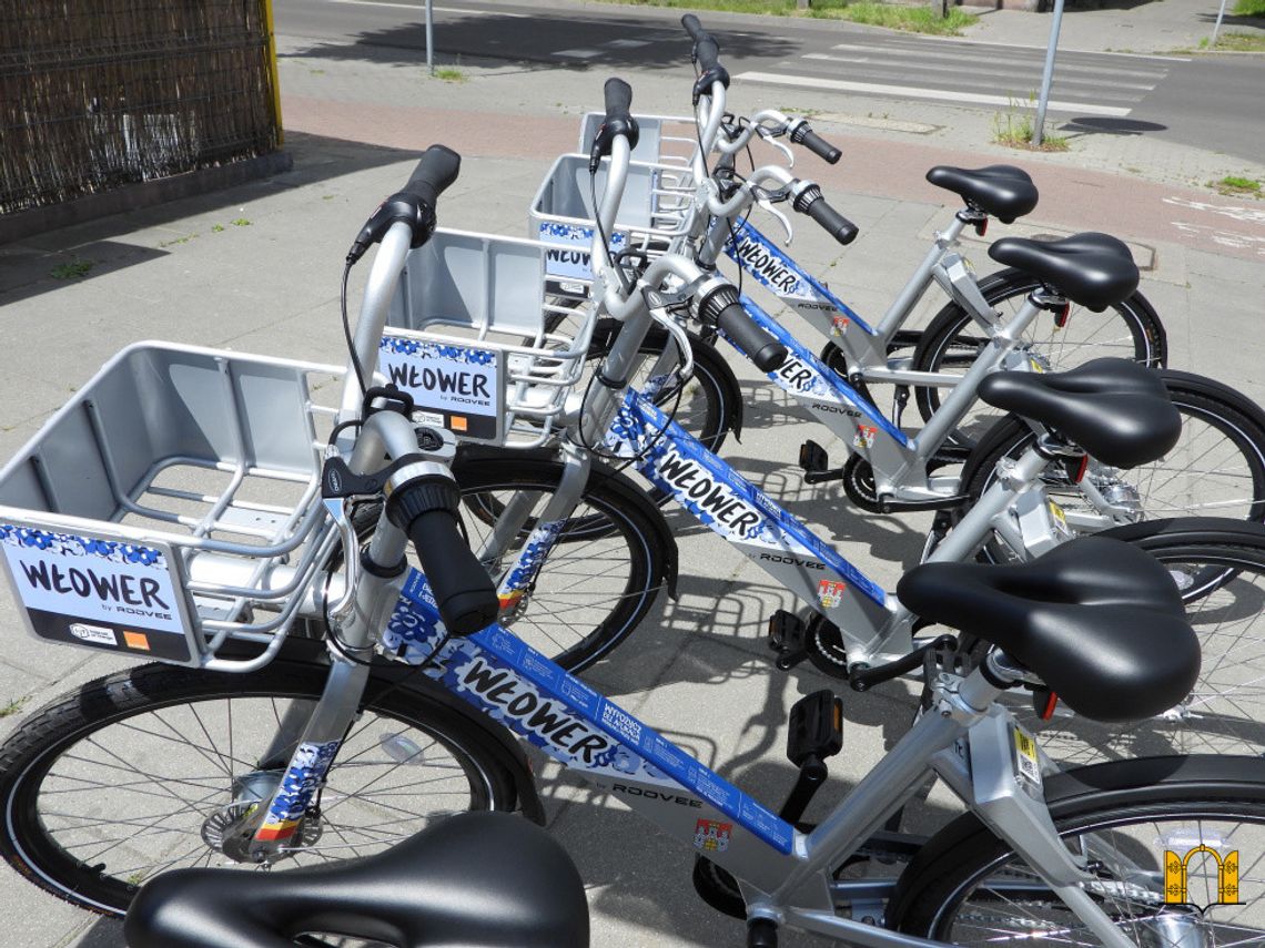 Powrót popularnych jednośladów. Od dziś możemy jeździć Włowerami