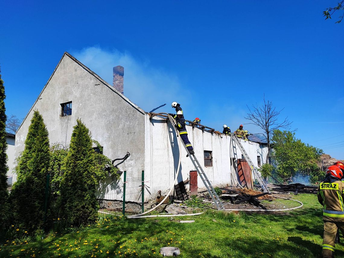 Pożar obory pod Włocławkiem w środku były zwierzęta. Trwa akcja gaśnicza