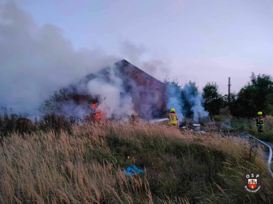 Pożar pustostanu w Brześciu Kujawskim. Doszło do podpalenia