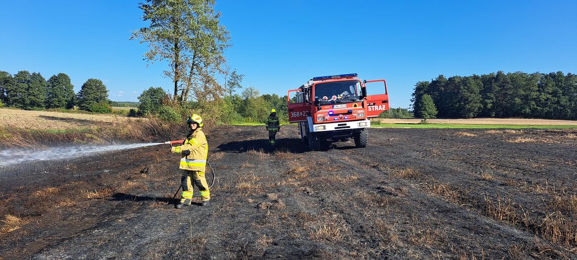 Pożar rżyska w Lisku. W czasie akcji gaśniczej doszło do zasłabnięcia