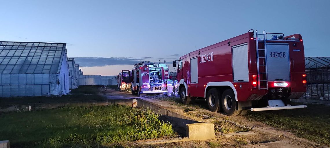 Pożar torfu w Nasiegniewie. Akcja gaśnicza trwała ponad godzinę