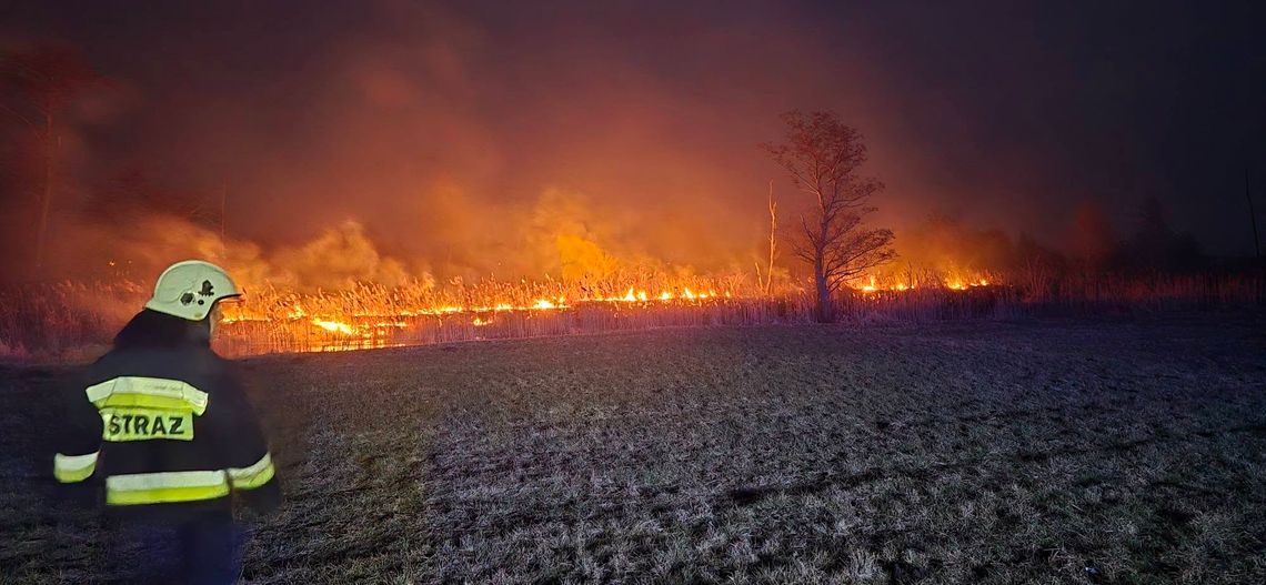 Pożar trzciny w gminie Izbica Kujawska. Akcja gaśnicza trwała 1,5 godziny