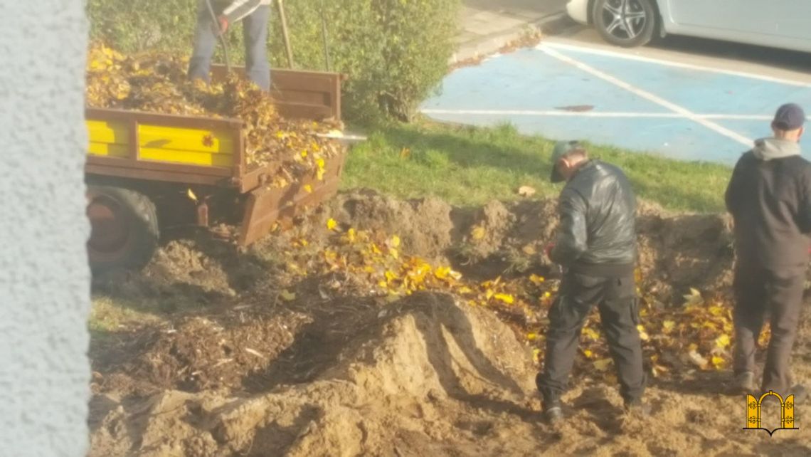 Pracownicy spółdzielni mieszkaniowej zakopywali liście i gałęzie w trawniku. W jakim celu?
