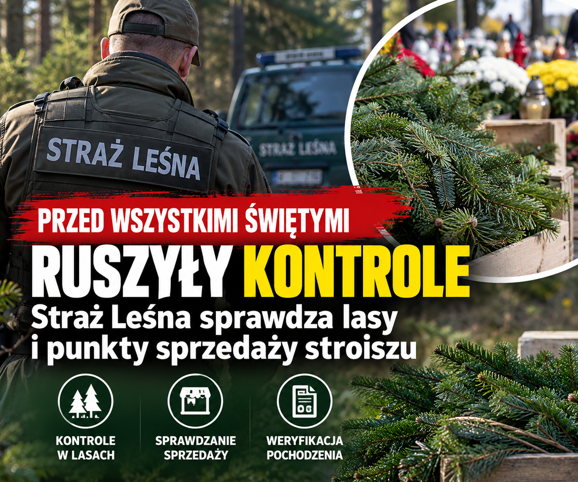 Przed Wszystkimi Świętymi ruszyły kontrole. Straż Leśna sprawdza lasy i punkty sprzedaży stroiszu