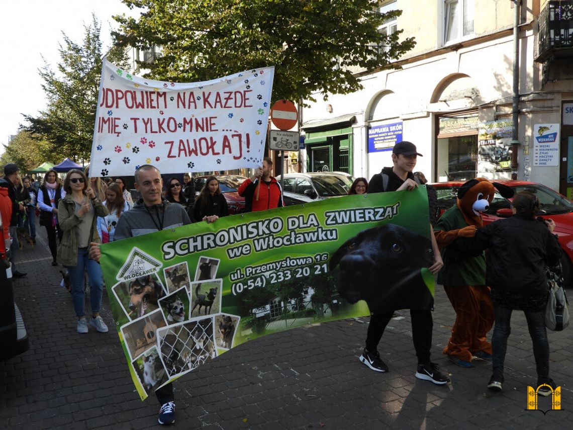 Przemarsz ze zwierzakami przez ul. 3-go Maja. Co świętowano? Przemarsz ze zwierzakami przez ul. 3-go Maja. Co świętowano?