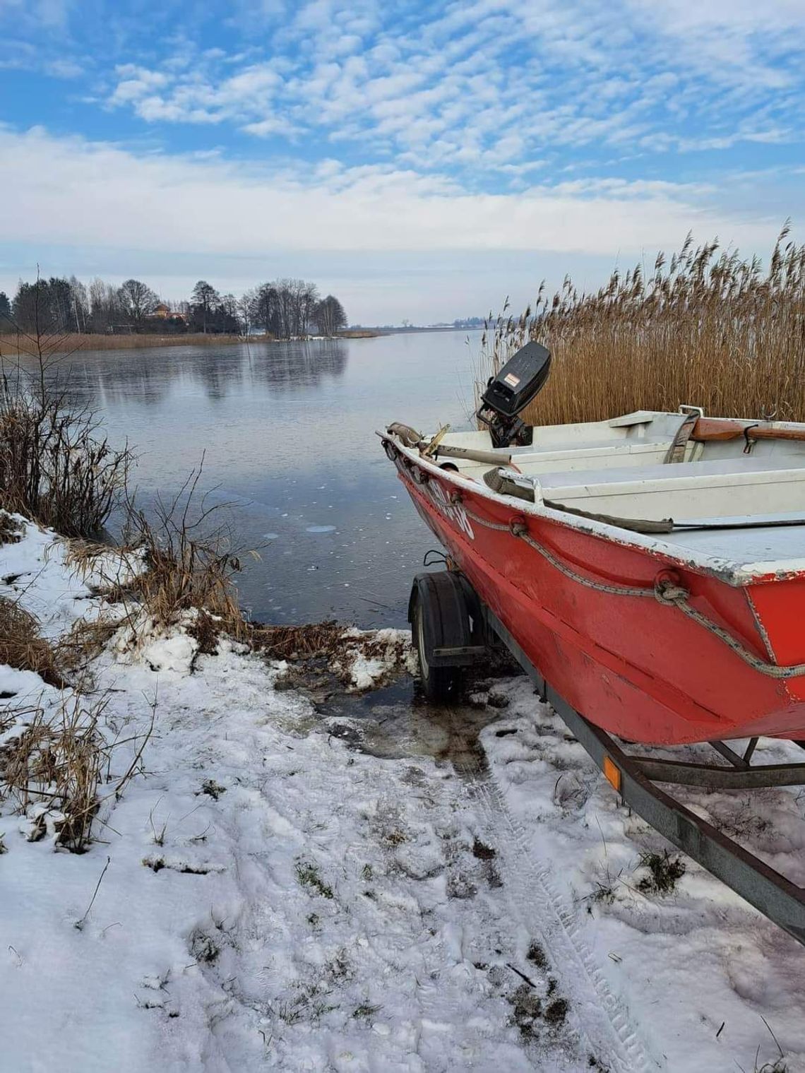 Przymarznięte łabędzie na jeziorze. Interweniowali strażacy 