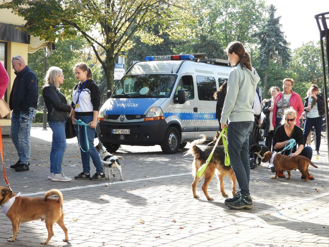 Pupile przejmą ulice miasta