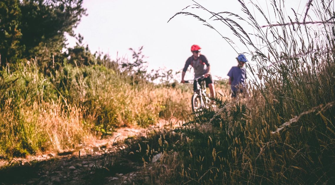 Rajd rowerowy z okazji 100-lecia Lasów Państwowych