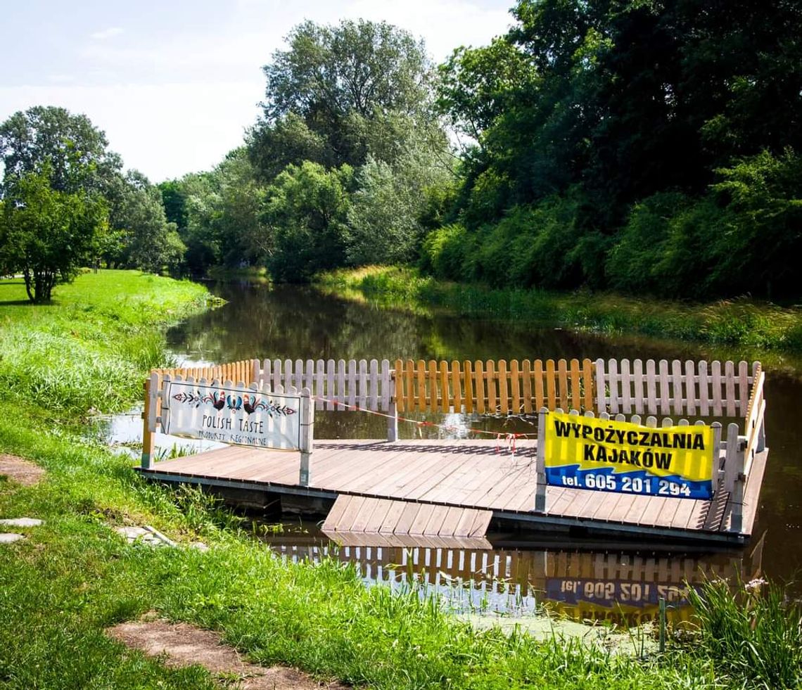 Ratusz prosi o nieodwiedzanie parku Sienkiewicza. Trwa usuwanie szkód po nawałnicy