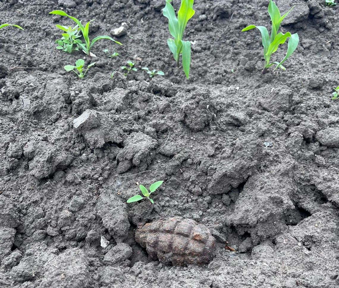 Region: rolnik znalazł na polu granat. Interweniowali saperzy