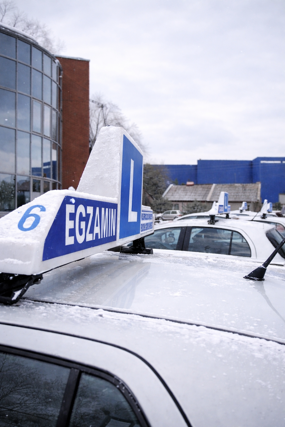 Rekordzista WORD 2025 do egzaminu teoretycznego podchodził 44 razy i nie zdał. Jaka była średnia zdawalność?