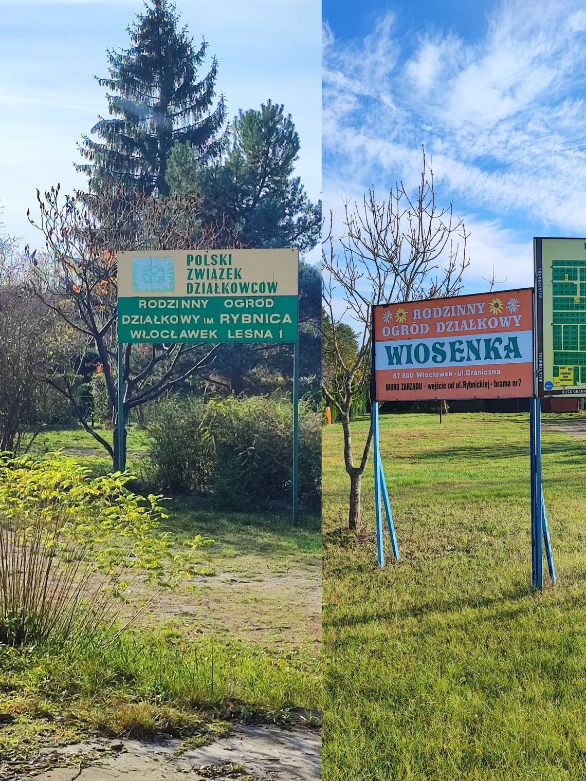 ROD "Wiosenka" i "Rybnica" do likwidacji w związku z budową CPK? Działkowcy protestują 