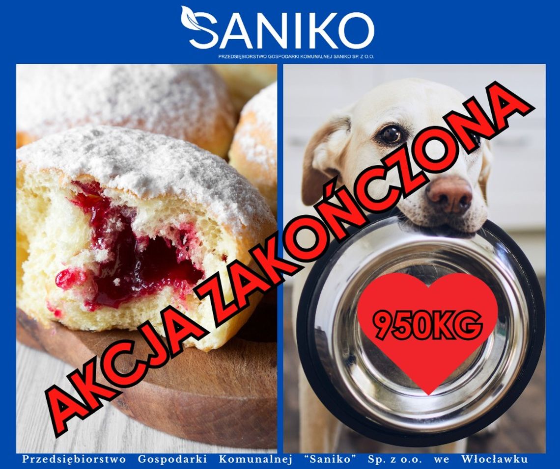 Saniko kończy akcję przed czasem - pomysł wymknął się spod kontroli