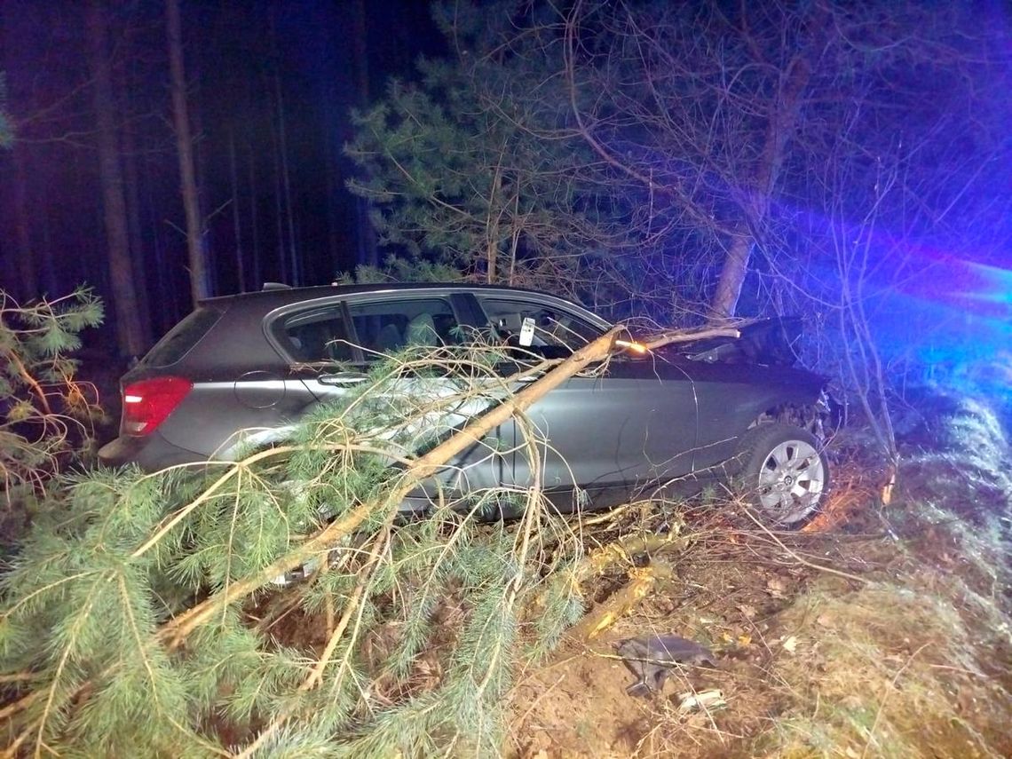 Sarna wbiegła na drogę. Kierowca skręcił i uderzył w drzewo