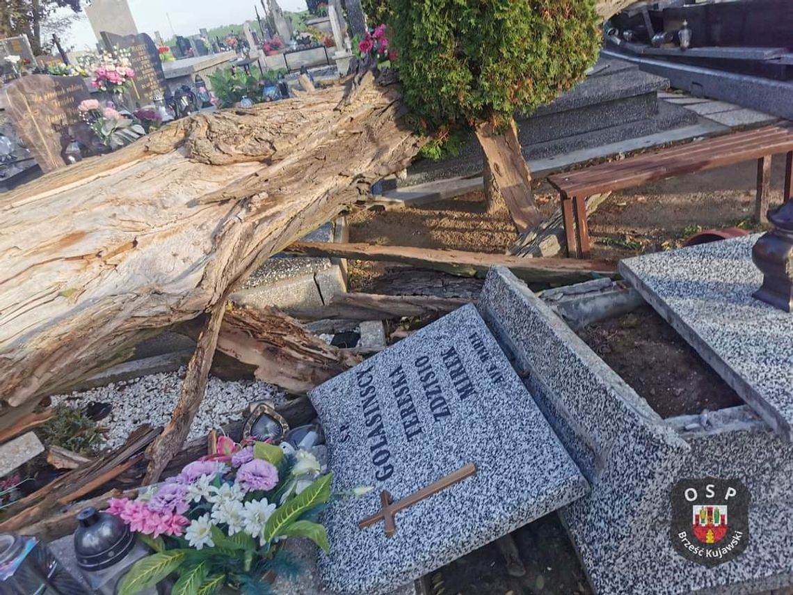 Silny wiatr połamał drzewa, które zniszczyły nagrobki na cmentarzu w Brześciu Kujawskim 