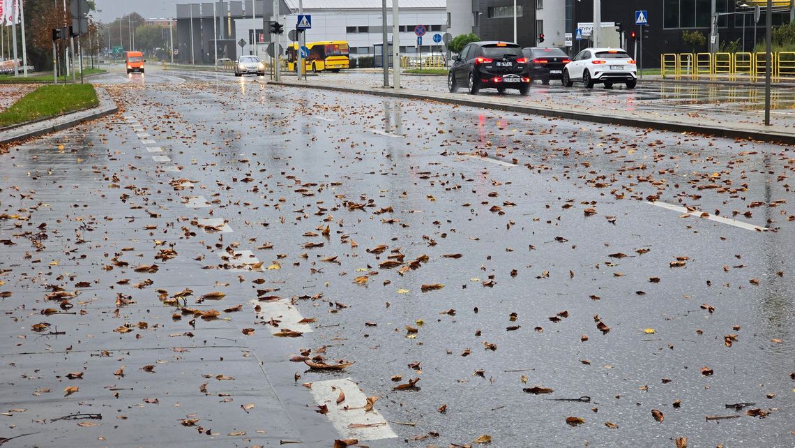 Silny wiatr w regionie. IMGW wydał ostrzeżenia dla Kujaw i Pomorza