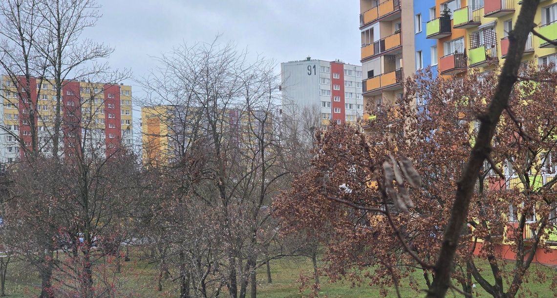 Silny wiatr w województwie kujawsko-pomorskim – IMGW wydało ostrzeżenie
